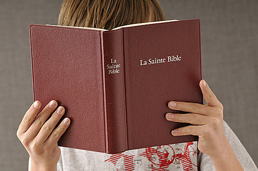 男孩,读,圣经