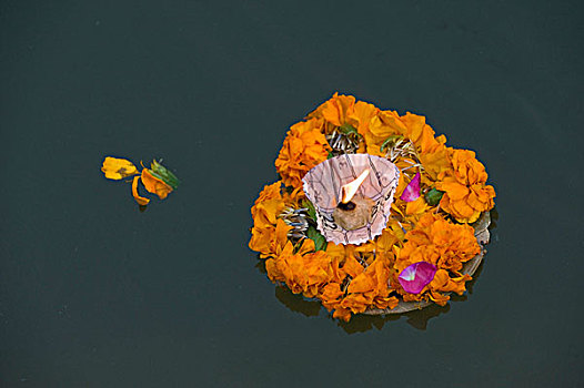 叶子,器具,花,油灯,漂浮,恒河,河,瓦腊纳西,北方邦,印度,亚洲