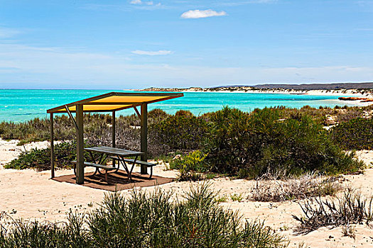 遮阳篷,野餐桌,海岸线,岬角,国家公园,西澳大利亚