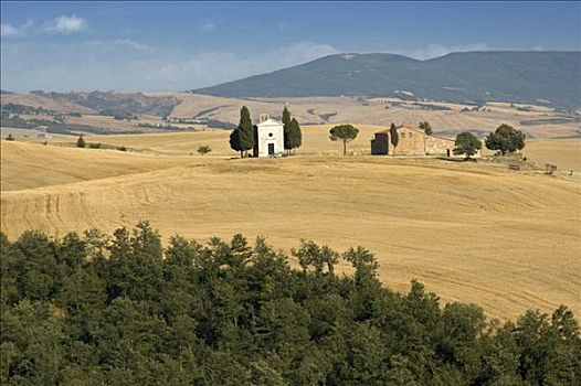农场,小教堂,柏树,瓦尔道尔契亚,托斯卡纳,意大利