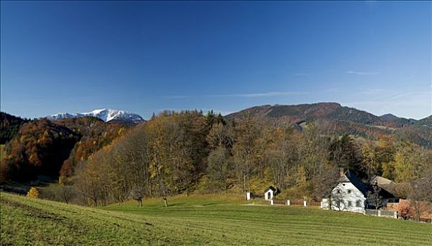 秋色,农舍,山,下奥地利州
