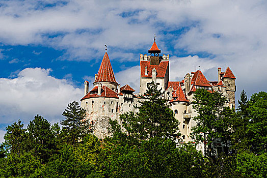 麸,中世纪,城堡,特兰西瓦尼亚,罗马尼亚