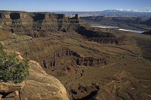 俯拍,峡谷,死,马,州立公园,犹他,美国