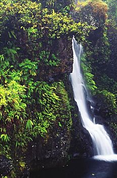 夏威夷,毛伊岛,叶子,瀑布,公路