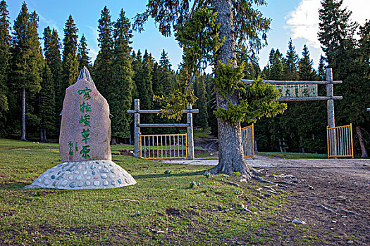 新疆喀拉峻草原