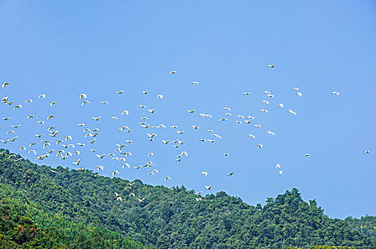 桂林山岭风光