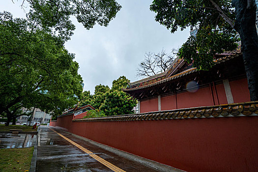 广州三月春雨中的广州图书馆和农讲所红墙绿瓦绿树