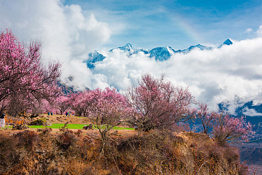 林芝,景色