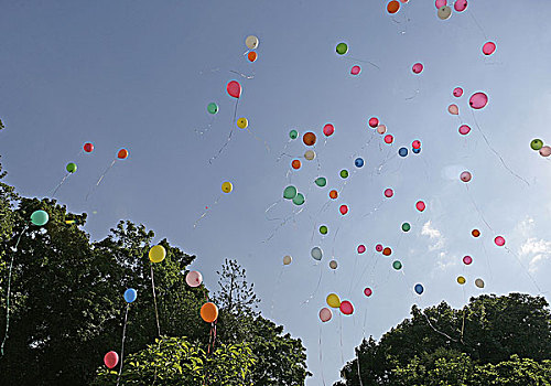 气球,多彩,夏天,户外,晴朗,聚会,庆贺,典礼,喜庆,生日,婚礼,有趣,喜悦,无人