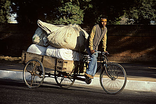印度,新德里,街景,男人,运输,商品,自行车
