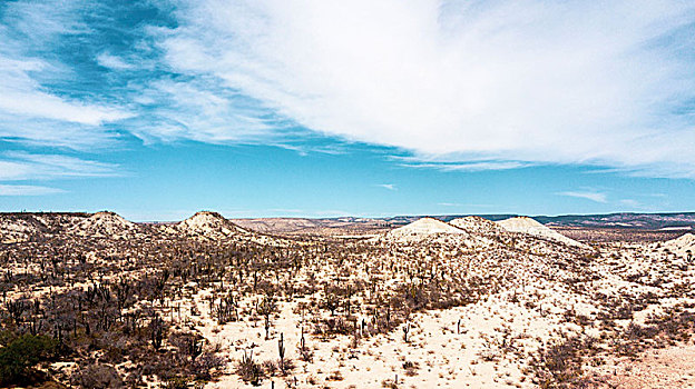 俯视,全景,沙漠,下加利福尼亚州,半岛,北方,墨西哥