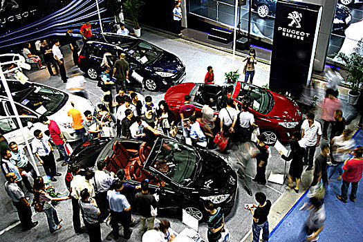 2010重庆汽车展,标志汽车展区