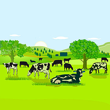母牛,草场,插画