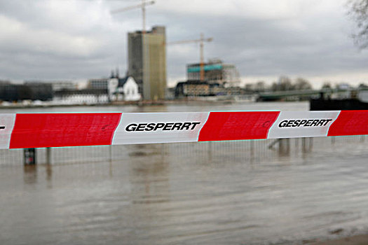 洪水,屏障,带子,一月,莱茵河,北莱茵威斯特伐利亚,德国,欧洲