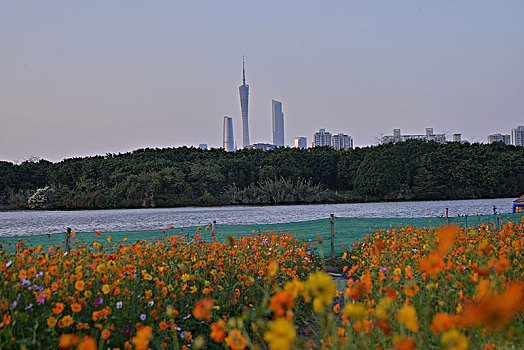 海珠湖公园