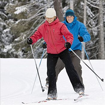 特写,伴侣,越野滑雪,不列颠哥伦比亚省,加拿大
