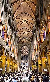 圣母大教堂,室内,西部,建筑,巴黎,区域,法兰西岛,法国,欧洲