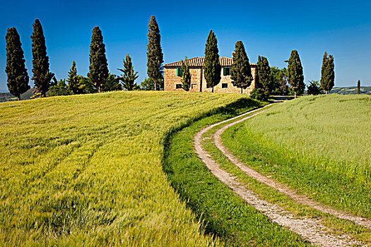 乡野,别墅,靠近,皮恩扎,托斯卡纳,意大利