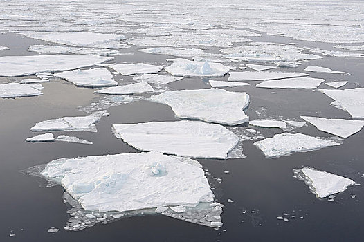 浮冰,威德尔海,南极半岛