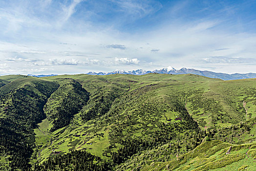 天山风光