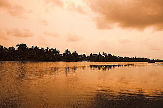 反射,云,水中,地区,喀拉拉,印度