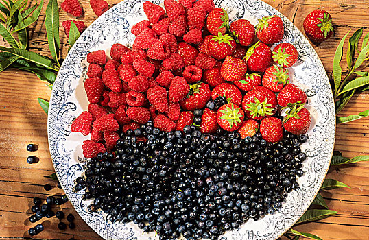 法国,奥弗涅,红色,水果,草莓,树莓,黑莓