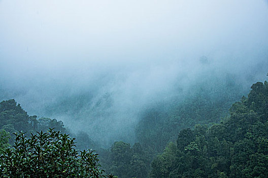 雨雾山景