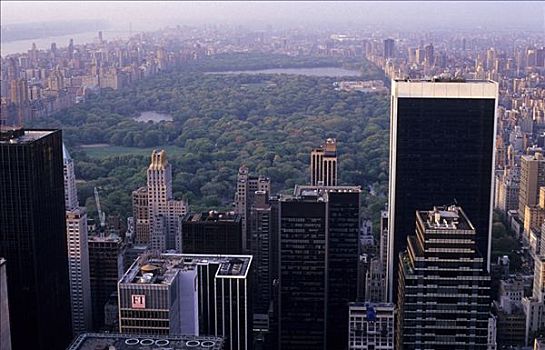 中央公园,上面,洛克菲勒中心,曼哈顿,纽约,美国
