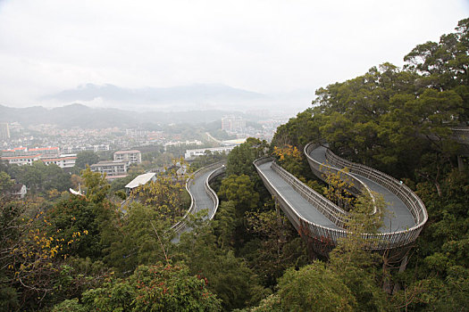 冬季,福建,福州,福道,城市,森林,步道,建筑大奖,钢架镂空,格栅板