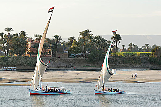 三桅小帆船,传统,木质,航行,船,尼罗河,路克索神庙,尼罗河流域,埃及,非洲