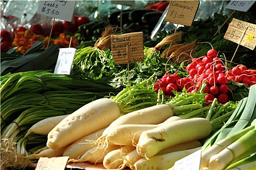 新鲜,蔬菜,萨拉曼卡,市场,塔斯马尼亚,澳大利亚