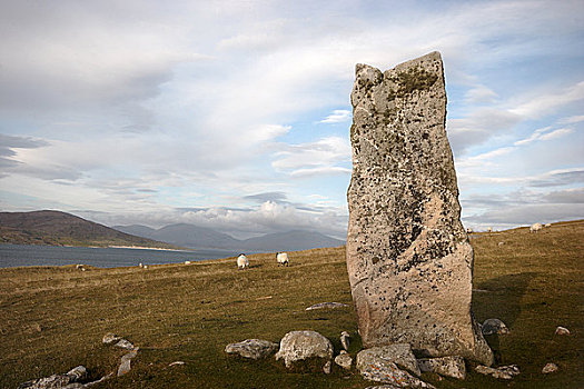 苏格兰,岛,石头,色调,岛屿,表面,2001年,留白