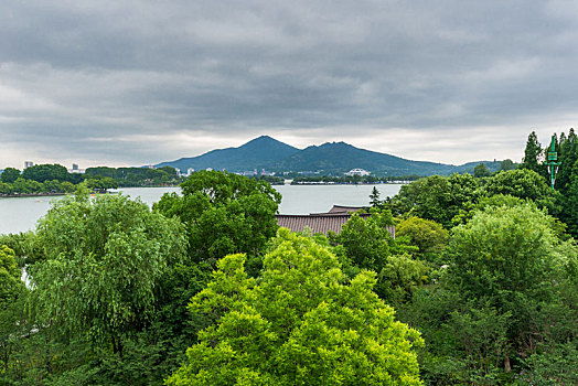 南京明城墙台城段