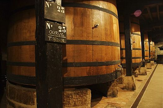 葡萄酒桶,酒窖,拉里奥哈,西班牙