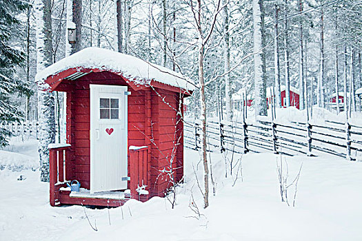 小,红色,木质,小屋,雪,木头
