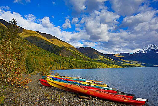 皮划艇,岸边,湖,秋天,楚加奇州立公园,阿拉斯加
