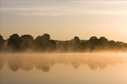晨雾,上方,湖,靠近,地区,东方,波希米亚,捷克共和国,中欧