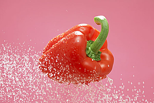 bell,pepper