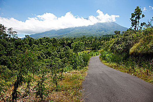 街道,火山,热带,雾林,巴厘岛,印度尼西亚,东南亚