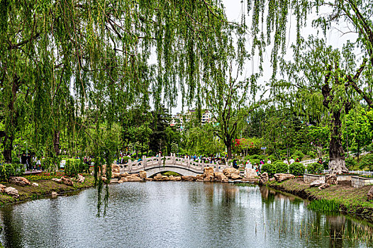 中国长春牡丹园风景