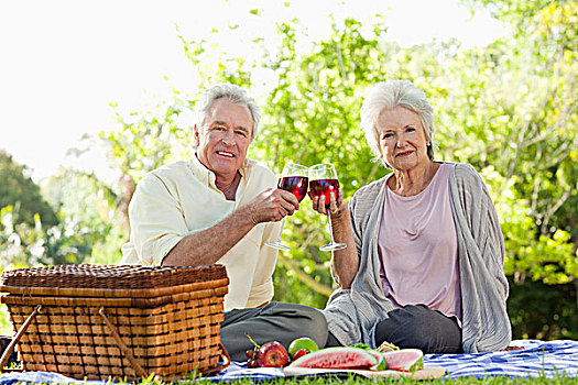 伴侣,接触,葡萄酒杯,正视,野餐