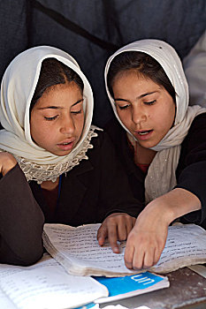阿富汗,女孩,分享,书本,帐蓬,教室,政府,学校,城市,赫拉特,许多,设施,孩子,岁月