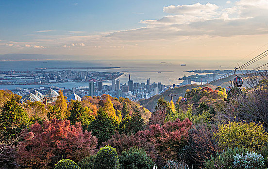 日本,神户,城市,香草园