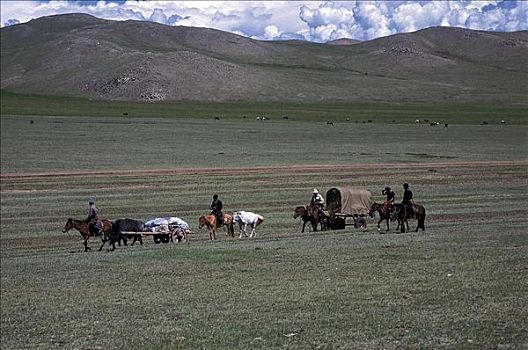 篷车,马,冒险者,哺乳动物,探险,蒙古,亚洲,动物