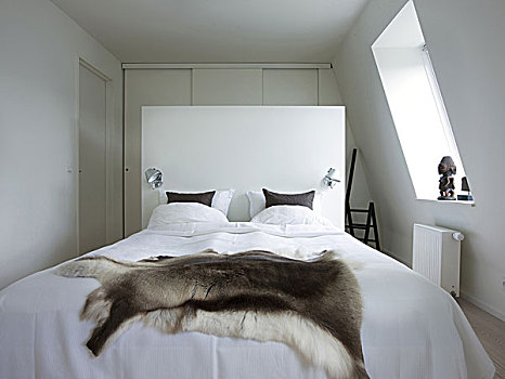 现代,公寓,哥本哈根,白色,墙壁,木地板,艺术,简约,风格,卧室,动物,毛皮,投掷