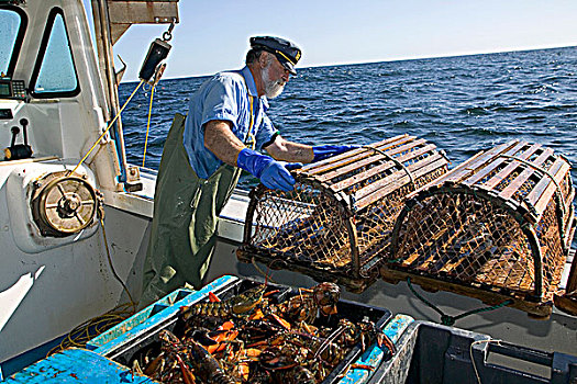 龙虾,钓鱼,爱德华王子岛,加拿大