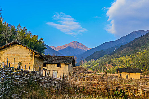 村庄,农村,房子,老屋,土墙,树,黄色,篱笆,小路,道路,稻草,山,蓝天,白云,石墙,鱼鳞云,牛,草,田地,农舍