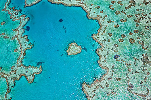 航拍,心形,礁石,局部,大堡礁,昆士兰,澳大利亚