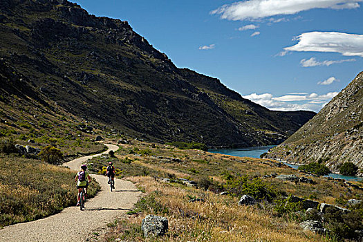山地车手,峡谷,自行车,走,中心,奥塔哥,南岛,新西兰