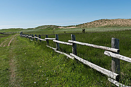 木篱,草,风景,新,格拉斯哥,爱德华王子岛,国家公园,加拿大